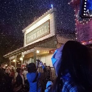 Meet your Posher, Holly